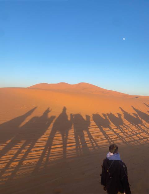 Shadows of camels and people on the desert sand