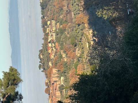 Italian hillside town with trees and historic buildings.