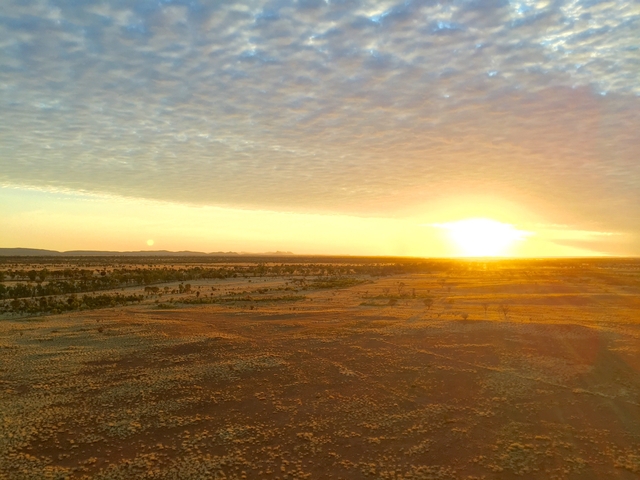 A wide view of a golden landscape during sunrise or sunset.