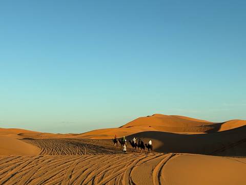 Caravan of camels crossing the sand dunes