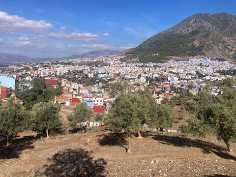 Panoramic view of a city with blue buildings nestled in hills.