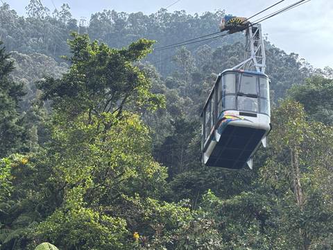 Cable car passing through a forested area.