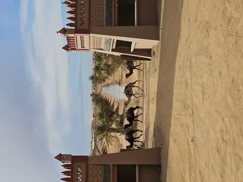 Caravan of camels in desert landscape with archway.