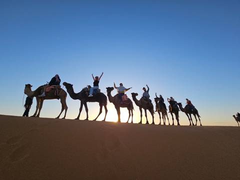 Group of people riding camels in the desert at sunset.