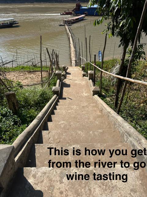 Stone steps leading down to a body of water surrounded by greenery.