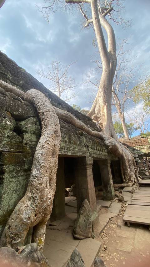 Odyssey Vietnam - Cambodia - Thailand In 22 Days customer review photo