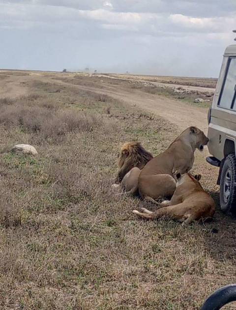 Photo d'avis client sur 7 jours de voyage de noces de luxe en Tanzanie