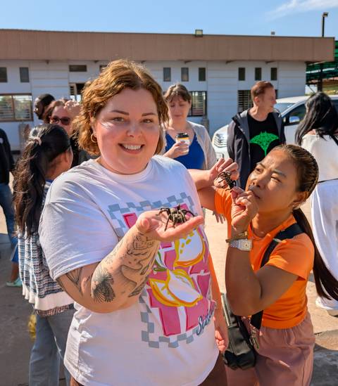 A group of people holding and interacting with tarantulas.