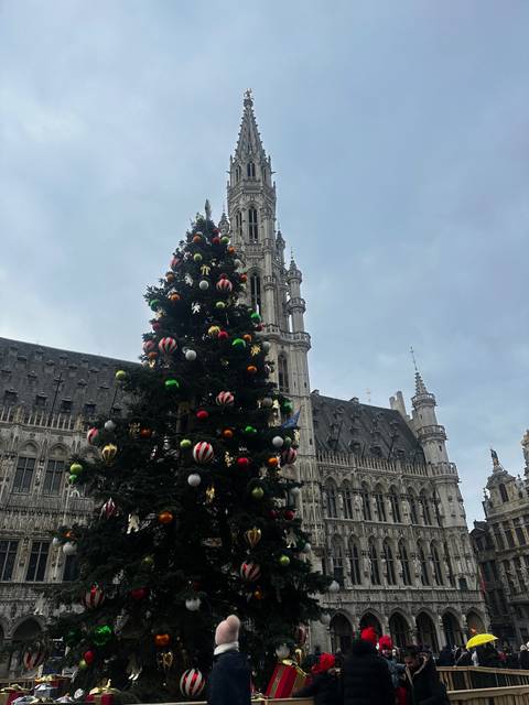 Christmas tree in front of a historic building at dusk.