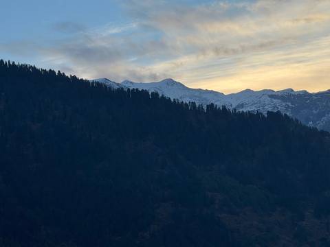 Dense forest with snow-capped mountains at sunset.