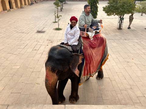 People riding an adorned elephant on a paved ground.