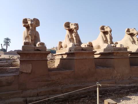 Row of ram-headed sphinx statues in Luxor.
