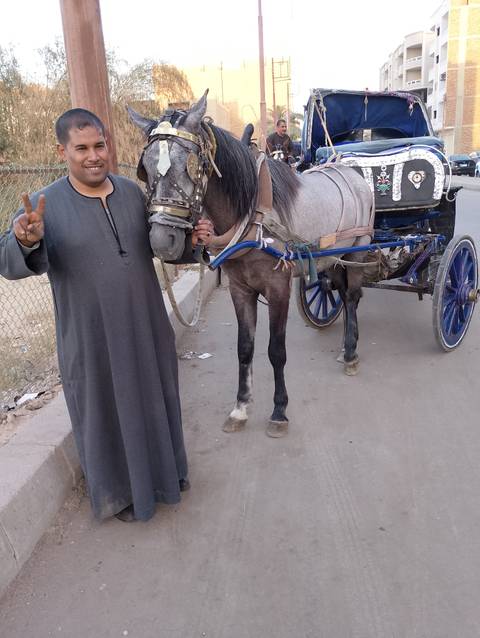 Person with a horse-drawn carriage on a street.