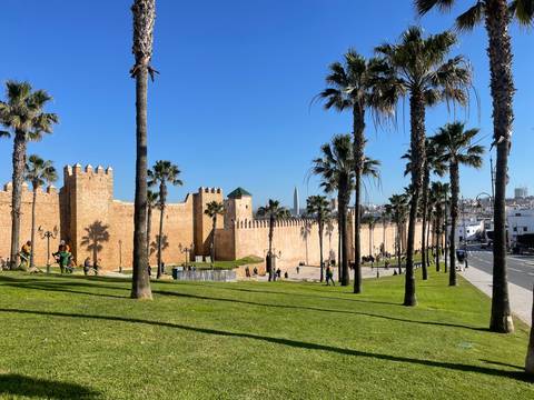 View of ancient city walls lined with palm trees.