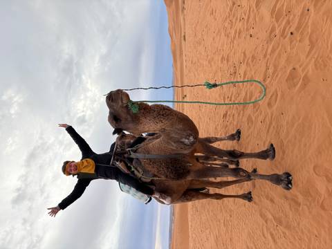 Person riding a camel in the Sahara Desert.