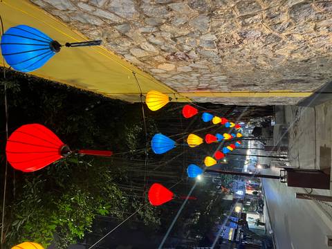 Bright lanterns hanging from a tree with an urban street background.