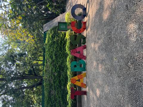 Colorful 'TABASCO' sign surrounded by greenery.