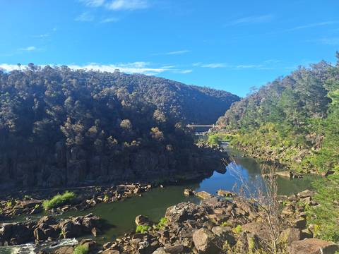Verdant gorge with a river and bridge surrounded by forest.