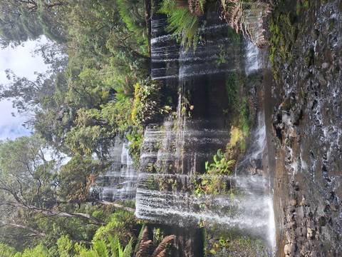 Waterfall cascading down lush vegetated rocks.
