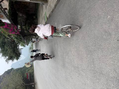 Group of people cycling on a street surrounded by greenery.