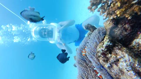 Person underwater with fish in a sea helmet exploring a coral reef.