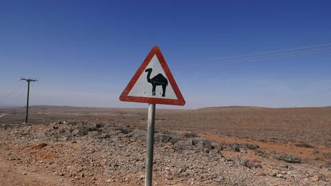 Desert road sign warning of camels with barren rocky landscape and power lines under a bright blue sky.