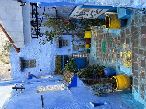 Charming alleyway with blue-painted walls and colorful plant pots in a sunny setting.