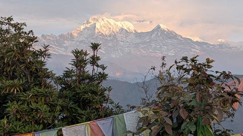 Sun-kissed Himalayan range viewed over foliage and fluttering prayer flags at dawn.