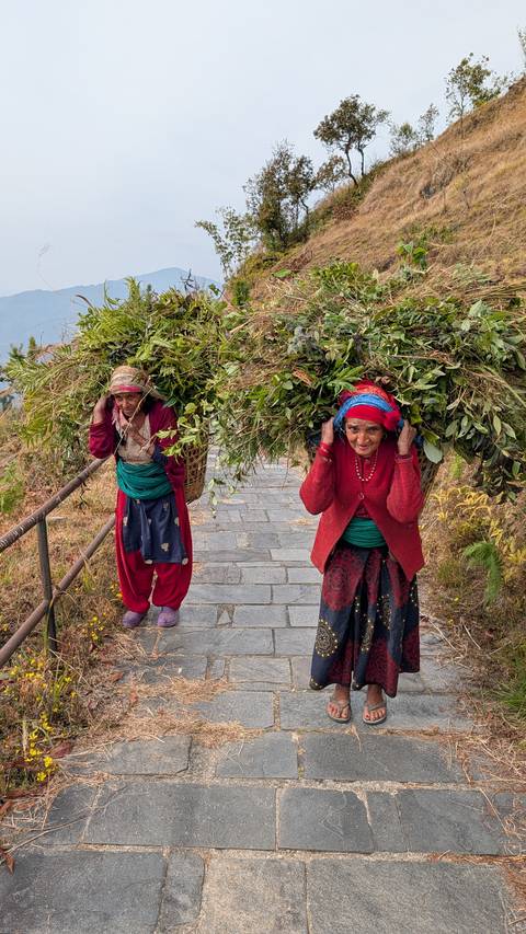 Two older women carrying heavy bundles of greenery in woven baskets along a stone path in the hills.