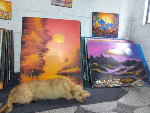 Klantbeoordelingsfoto van Wonderen van Ecuador: Hooglanden en Amazone 10 dagen