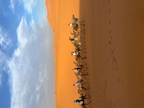 Timeless Morocco customer review photo