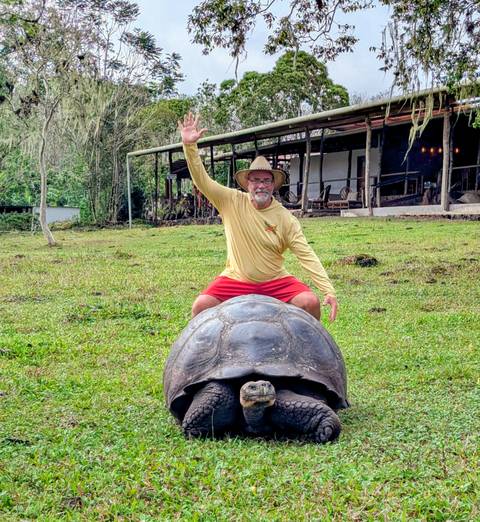 Man playfully posing on the shell of a giant Galapagos tortoise in a grassy field.