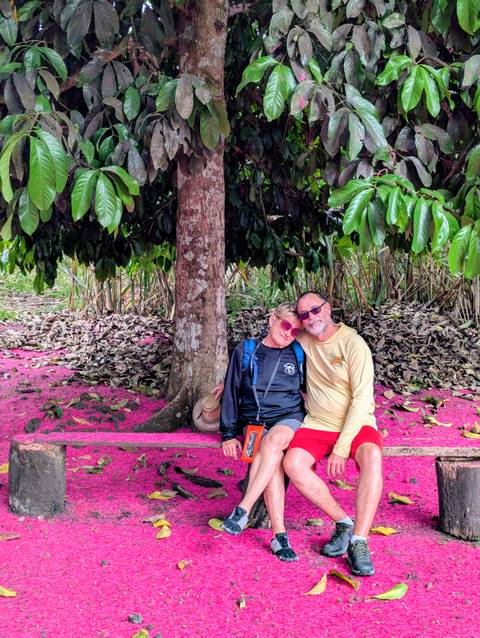 Couple relaxing on a pink-petal covered bench beneath a tropical tree on a plantation.