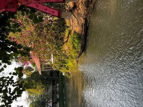 Tranquil garden pond with a wooden boat and blooming pink tree on the bank.
