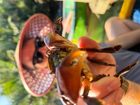 Photo d'avis client sur Vietnam classique 15 jours - One Life Adventures