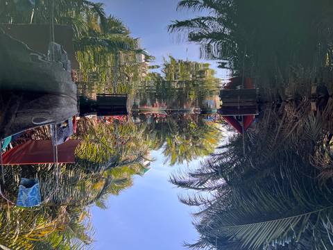 Photo d'avis client sur Vietnam classique 15 jours - One Life Adventures