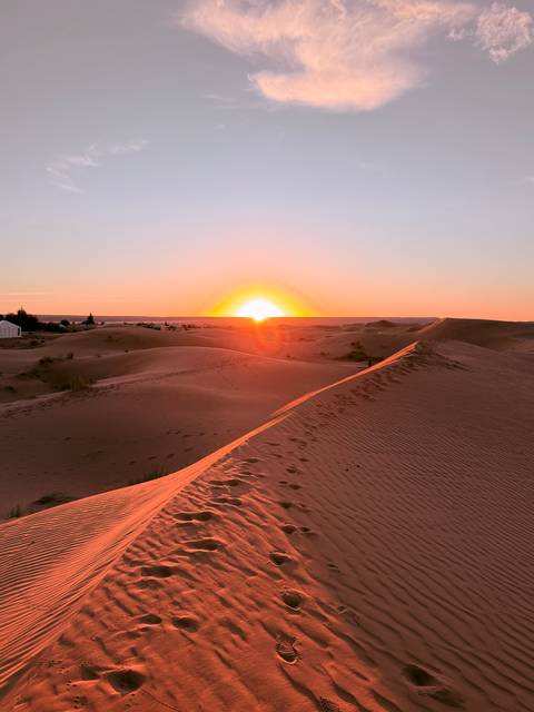 Golden sun rising over rolling Sahara dunes leaving soft footprints along the crest.