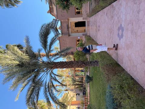Man standing on a tiled walkway in a leafy palm garden outside an adobe-style guesthouse under a clear blue sky.