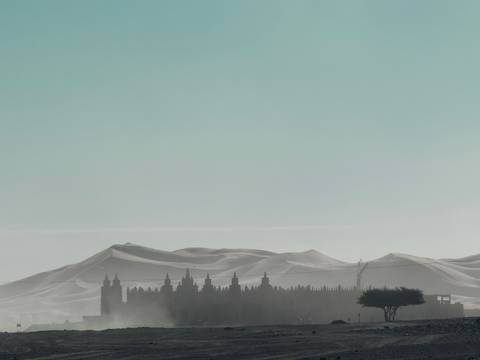 Hazy vista of rolling desert dunes behind a dark silhouette of palm trees beneath a pale turquoise sky.