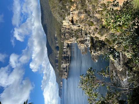 Dramatic sea cliffs and forested headlands meet deep blue Tasman Sea waters.