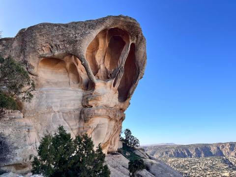 Unique skull-shaped rock formation stands out against a clear blue sky near Dana, Jordan.