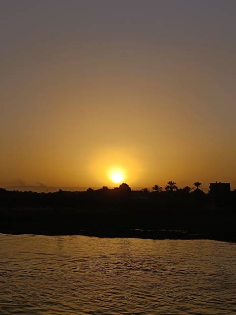 Soft golden sunrise over palm-lined Nile valley silhouettes.