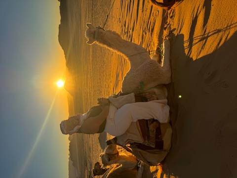Traveller sits on a camel at sunset with golden sun low over sweeping desert dunes.
