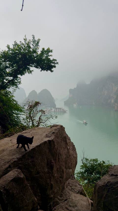Misty view of limestone karsts and cruise boats in Ha Long Bay.