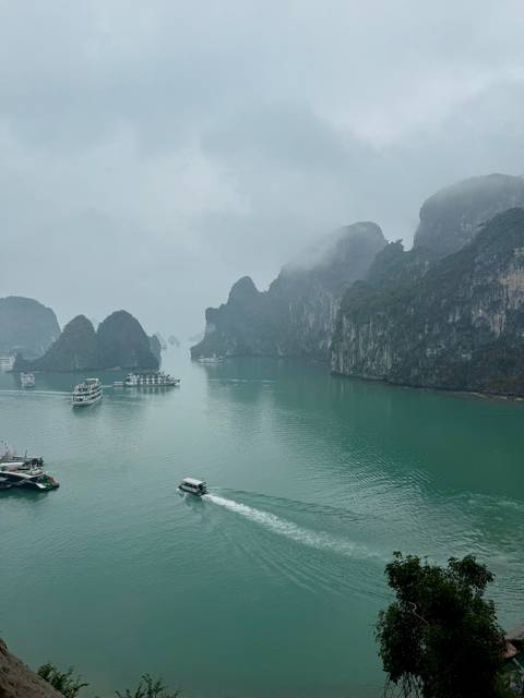 Overcast view of cruise boats navigating Ha Long Bay’s green waters and cliffs.