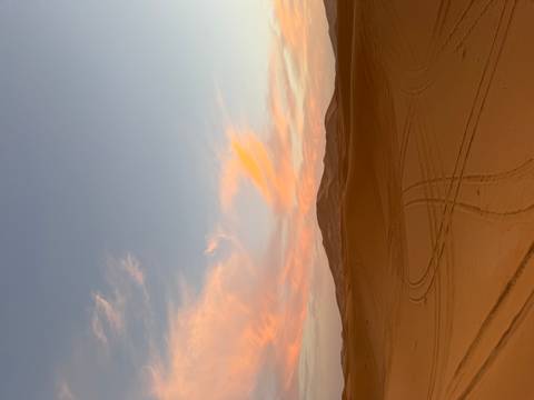 Soft pastel sunset over smooth sand dunes with vehicle tracks leading into the Sahara.