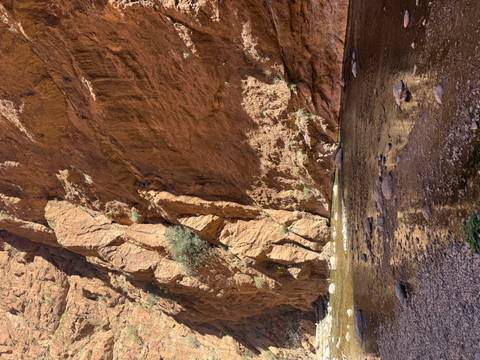 Sheer red rock walls of Todra Gorge towering above a shallow stream with reflections.
