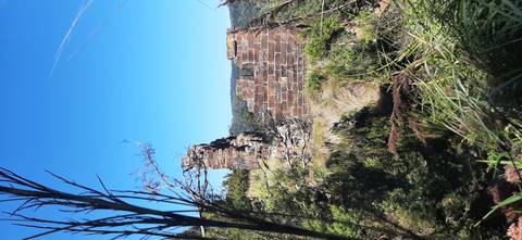 Stone ruins of an old chimney rise above dense Tasmanian bushland on a clear day.