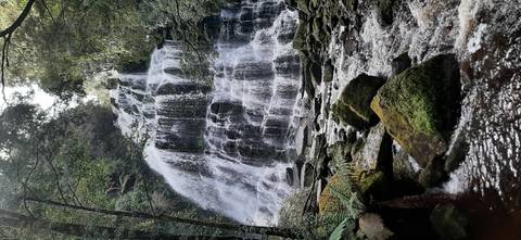 Powerful stepped cascade tumbles over mossy rocks within dense temperate rainforest.