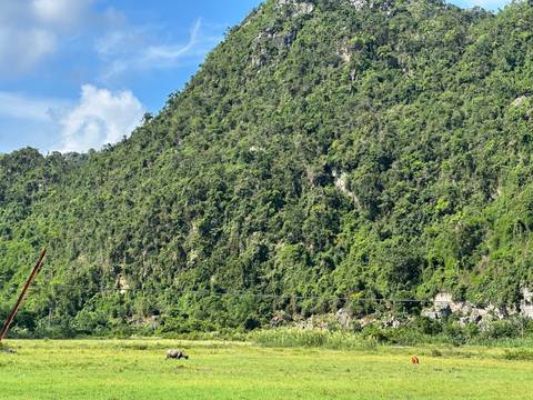 Steep green mountainside rising above open fields under a bright blue sky